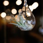 6t体育在线网站:畅享全球体育赛事直播与精彩回放 4cv74