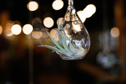 6t体育在线网站:畅享全球体育赛事直播与精彩回放 6t体育在线网站:畅享全球体育赛事直播与精彩回放