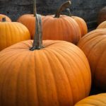 AG888:探索在线博彩平台的全新体验与优势 a0kc186t3