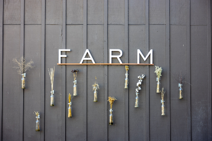 6731娱乐带你领略多元化的娱乐世界 6731娱乐带你领略多元化的娱乐世界