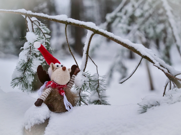 a8体育的热门赛事推荐:不容错过的精彩比赛 a8体育的热门赛事推荐:不容错过的精彩比赛