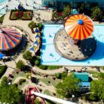 8868体育网页版登录指南:一步步教你轻松注册与登录 mz6x7nw7