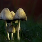 918博天堂真人游戏:畅享多样化的娱乐选择与精彩体验 po7j7xg28y