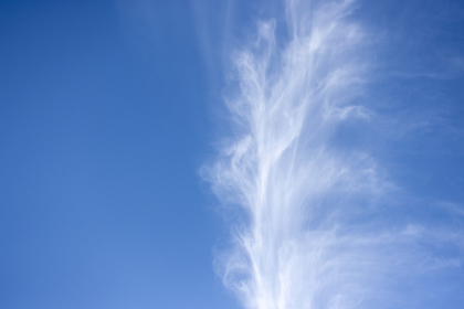 888真人平台的注册流程与新手指南详解 888真人平台的注册流程与新手指南详解