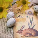 678体育:探索全新体育赛事直播平台的魅力与优势 qr67md