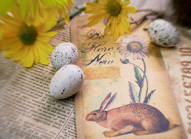 678体育:探索全新体育赛事直播平台的魅力与优势 678体育:探索全新体育赛事直播平台的魅力与优势