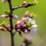 88娱乐:让每一次娱乐时光都充满惊喜与刺激 uy4wq