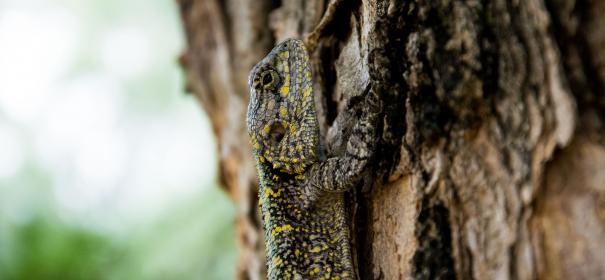 139期开奖结果揭晓,幸运号码震撼出炉! 139期开奖结果揭晓,幸运号码震撼出炉!