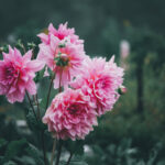 139最快开奖结果最新发布,第一时间掌握中奖信息 1em3s0aq0