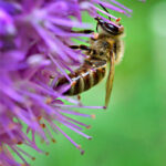 340开奖前后关联性深度解析:历史数据揭示的规律与趋势 3jkwbolgm