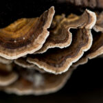 338开奖最新结果与中奖号码全面揭晓 3n72w