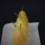 14050期足彩开奖结果揭晓:大奖花落谁家? 7krmdq8