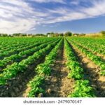 140期3D历史开奖号码全面回顾与详细分析 b06va