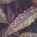 14172期足彩开奖结果揭晓:大奖花落谁家引关注 cy2guro