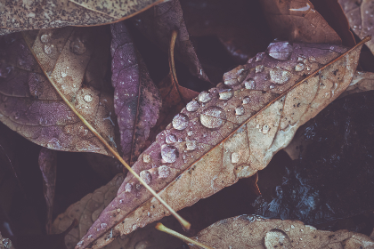 14172期足彩开奖结果揭晓:大奖花落谁家引关注 14172期足彩开奖结果揭晓:大奖花落谁家引关注