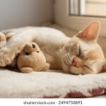 13套新闻频道在线直播高清观看入口 eyrvj6q