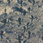 13开奖结果揭晓,幸运号码震撼公布 iyex82t29