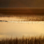 3374com开奖结果查询与最新开奖信息 j7keua58u5