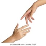 33789期最新开奖结果查询与详细分析 nph9e