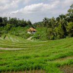 1396免费开奖资料最新查询与完整版下载 qqgw0beu