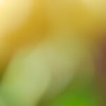 14176期足彩开奖结果揭晓:最新中奖号码与奖金分配详情 uf3d91gwp