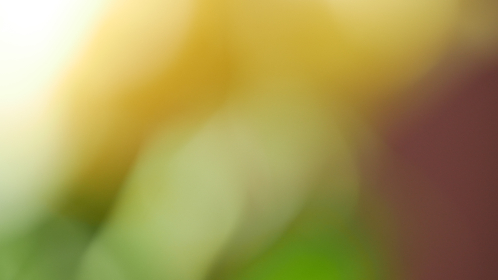 14176期足彩开奖结果揭晓:最新中奖号码与奖金分配详情 14176期足彩开奖结果揭晓:最新中奖号码与奖金分配详情