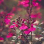 140期福彩开奖号码最新公布,快来看看你中奖了吗? vwx6957x